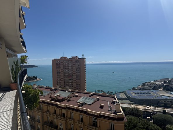 real estate monaco