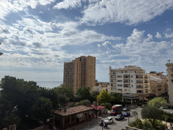 Grand 4 pièces avec vue mer - Appartement à vendre à Monaco
