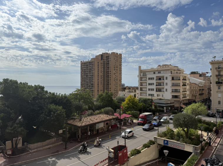 2 appartements à vendre au même étage à Monaco